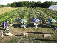 Picture of Goose Lake Farm and Winery